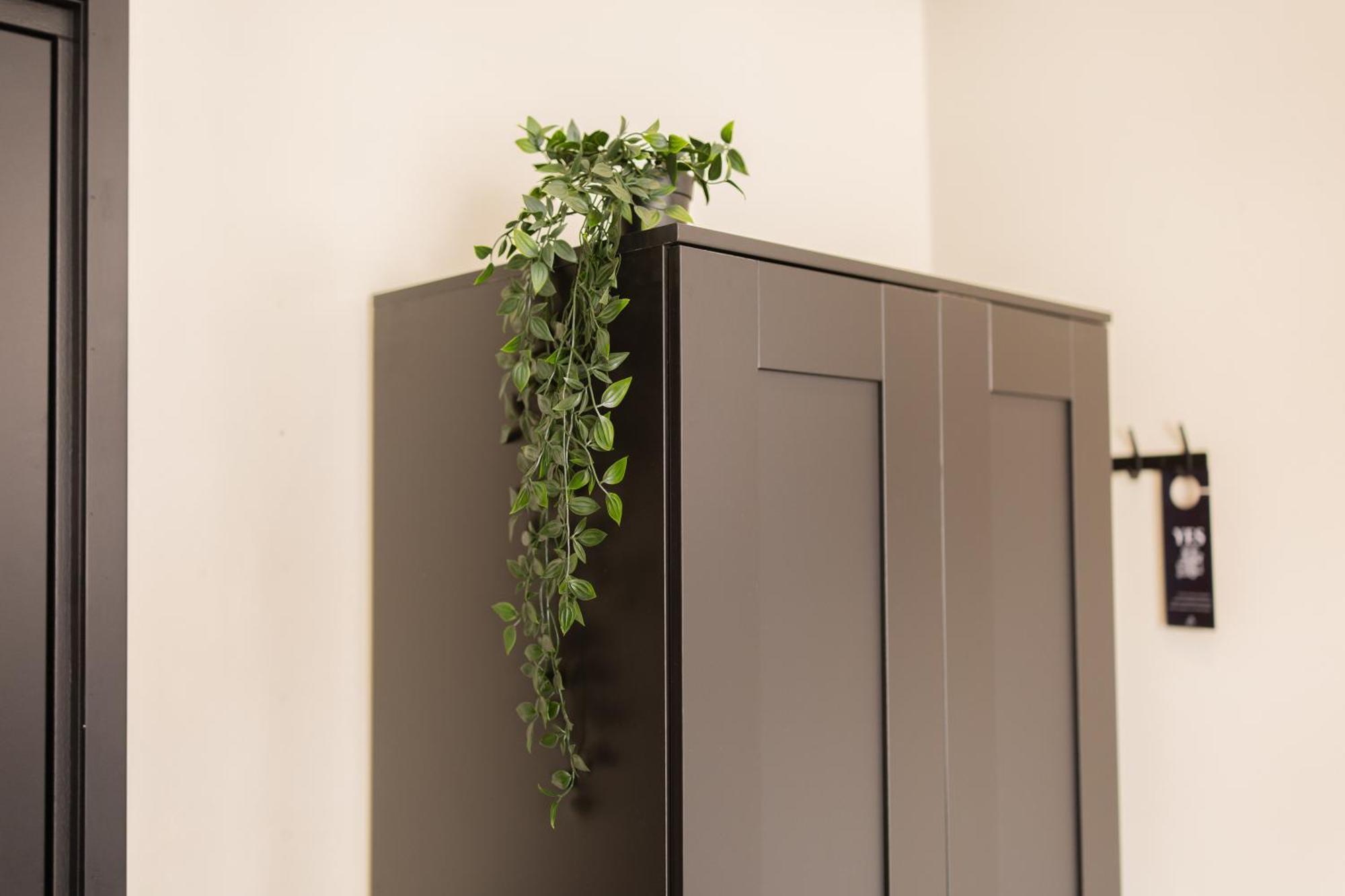 Binnenrotte Apartamento *